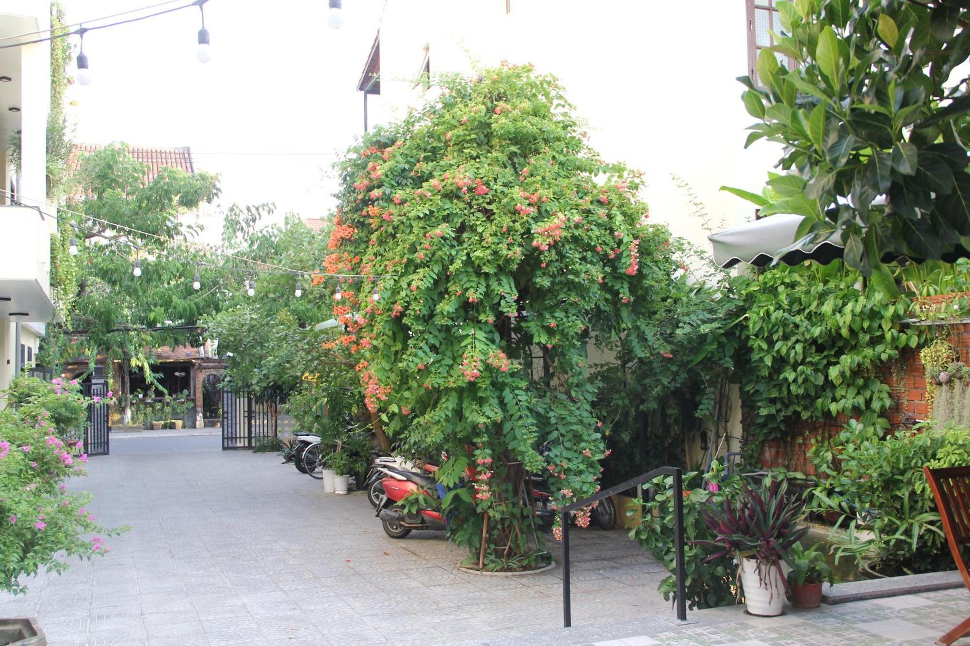 Windbell Villa ฮอยอัน ภายนอก รูปภาพ